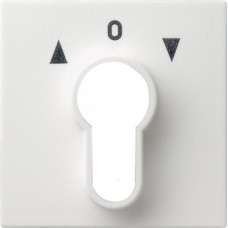 Gira System 55 Накладка выключателя с ключом