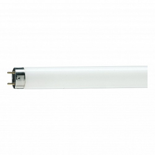 PH Лампа люминесцентная TL-D 36W/33-640 1SL/25
