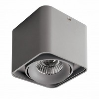 Lightstar Monocco Серый/Серый/Серый Потолочныйсветильник 212519 GU10 1х50W IP20