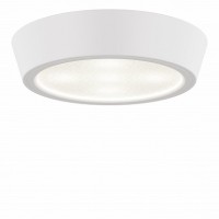 Lightstar Urbano Белый/Белый/Белый Потолочный светодиодный светильник 214904 LED 1х10W IP65