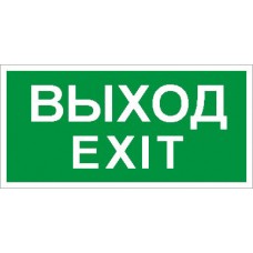 СТ ПЭУ 011 «Выход/Exit» (210х105)