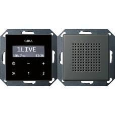 Gira E22 Сталь Радио скрытого монтажа