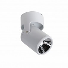 Favourite Projector Светильник потолочный металл белого цвета, угол наклона регулируется COB LED*12W, Ra>80, beam angle:12°, 4000K
