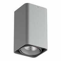 Lightstar Monocco Серый/Серый/Серый Потолочныйсветильник 212539 GU10 1х50W IP20