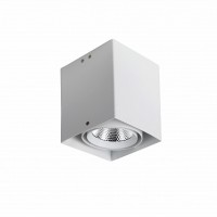 Favourite Flashled Светильник потолочный каркас накладной белого цвета, угол наклона регулируется COB LED*12W, RA>80, beam angle:24°, 4000K