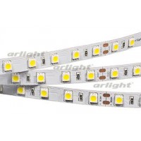 Arlight Лента RT 2-5000 24V White6000 2x (5060, 300 LED, LUX)