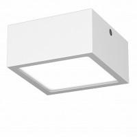 Lightstar Zolla White Белый/Белый/Белый Потолочный светодиодный светильник LED 1х10W IP44