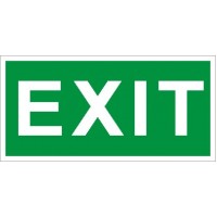 СТ ПЭУ 012 «Exit» (240х125) РС-M